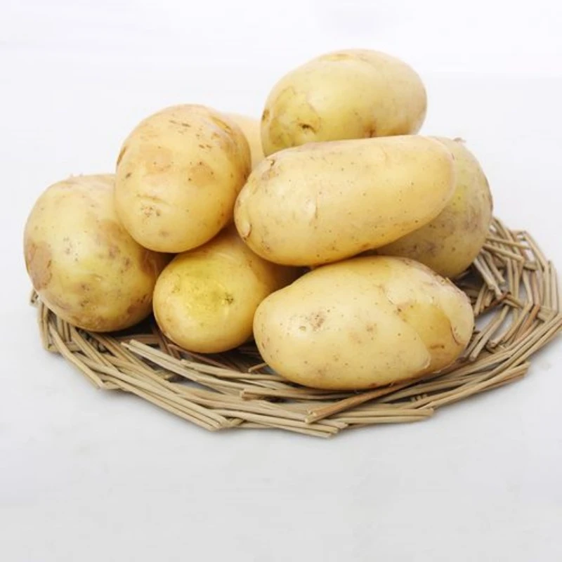 u4078188108790131119fm224app112fJPEG u4078188108790131119fm224app112fJPEG